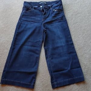 Express Wide Leg Cropped Jeans